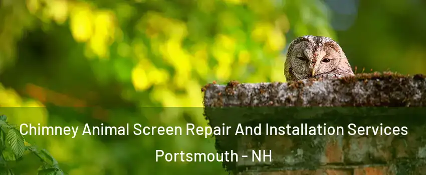  Chimney Animal Screen Repair And Installation Services Portsmouth - NH
