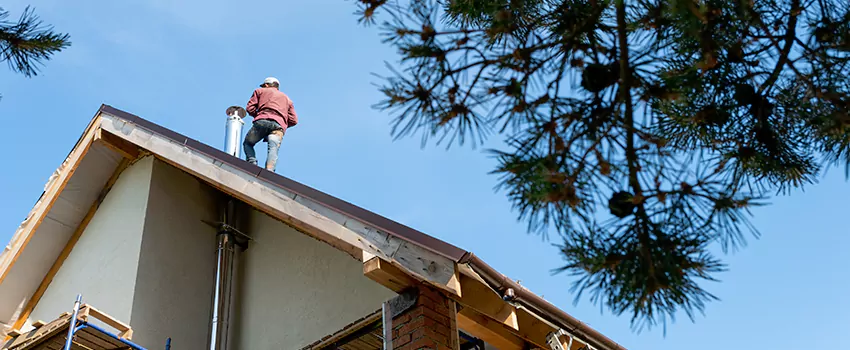 Birds Removal Contractors from Chimney in Portsmouth, NH